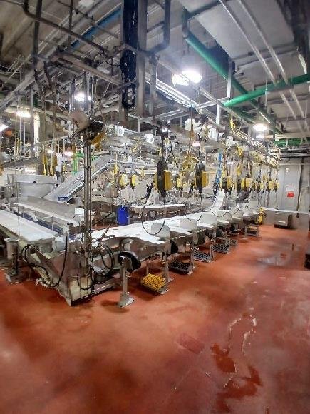 Perry processing floor